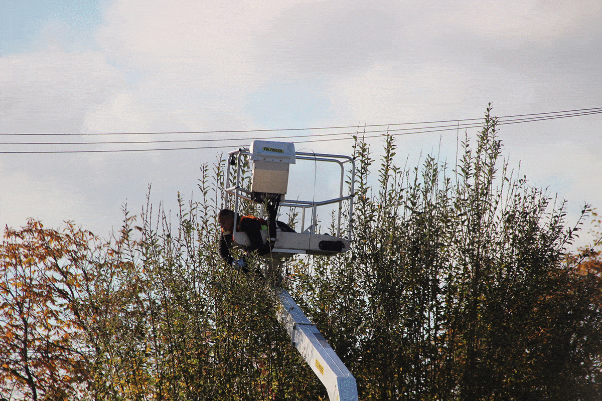 MEC&F Expert Engineers Lineman electrocuted when the utility bucket