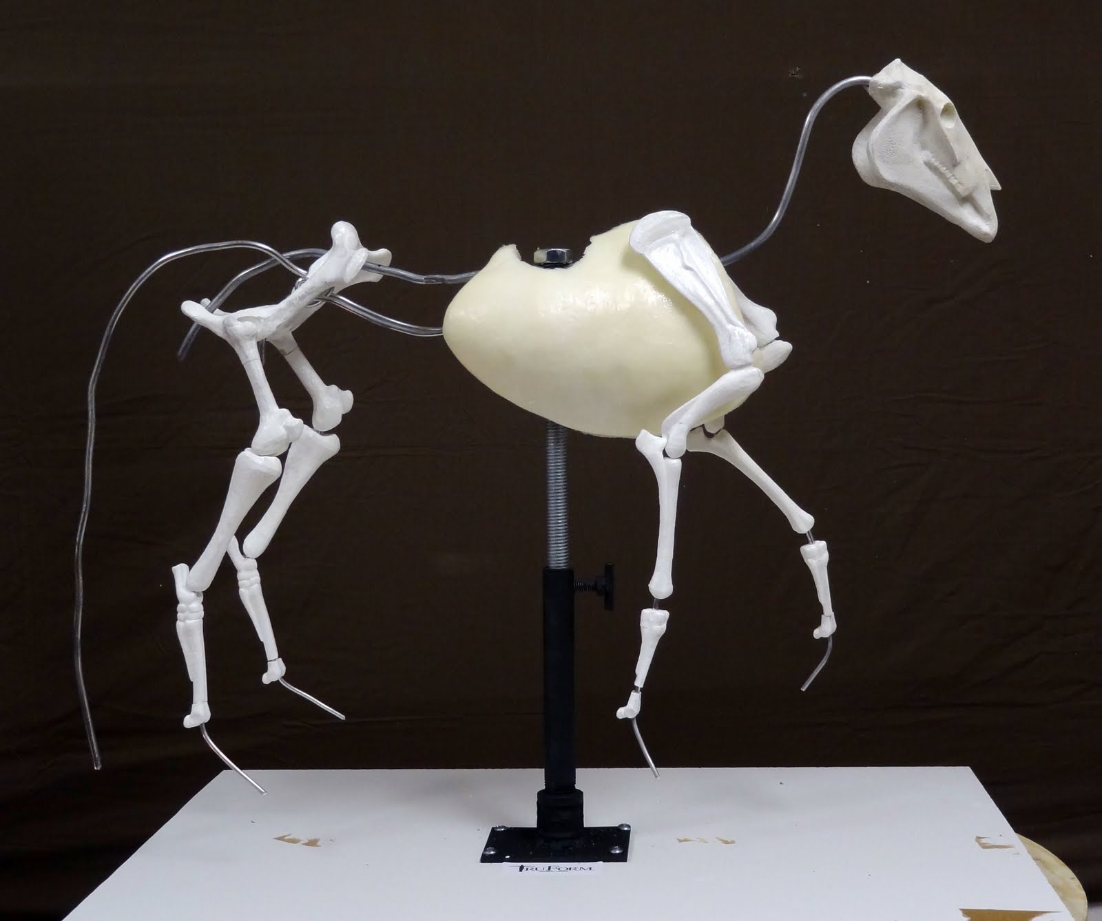 Clay To Bronze TruForm Horse Armature Arrives Today