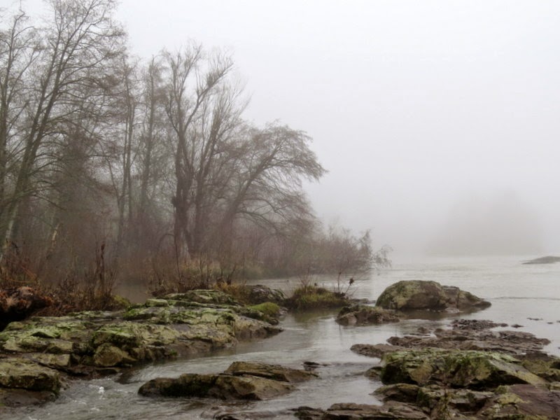 Photos by Jan Off D Street in Springfield,Oregon/Then Day Island Park