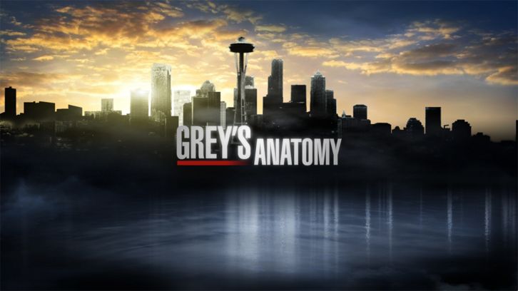 Grey's Anatomy - Season 12 - Martin Henderson joins as Series Regular