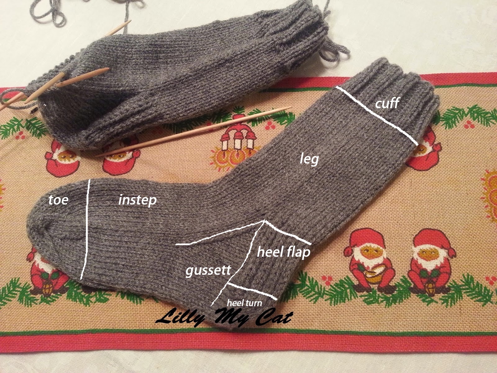 Lilly My Cat: Sock Knitting 101 - Sock Knit Along - Introduction
