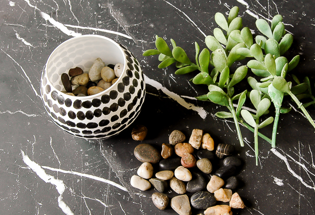Adding stones and succulents to dollar tree vase