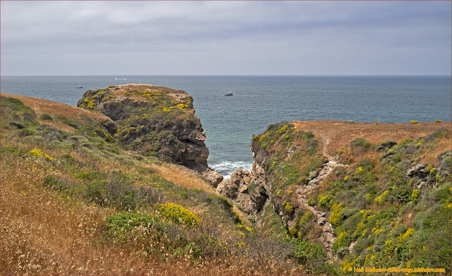 San Francisco Bay Area Photo Blog: Point Reyes National Seashore: 12 ...