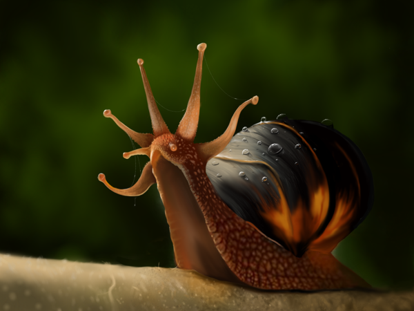 13-The-King-Snail-Jaime-Sanjuan-Ocabo-The Beauty-of-Paintings-in-Digital-Art-www-designstack-co