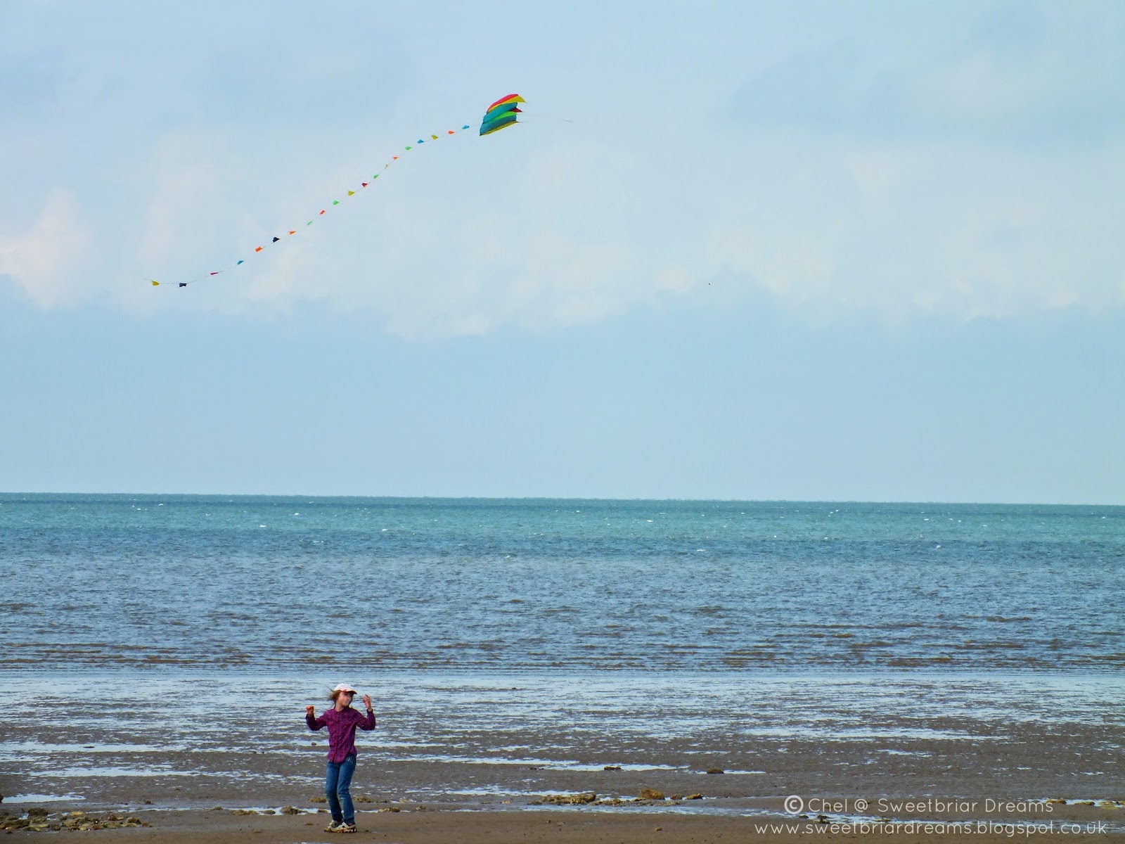 Sweetbriar Dreams Singing Cockles and Mussels Alive Alive Oh