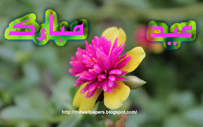 Eid Ul Zuha Adha Mubarak 2012 Card Flower Wallpapers Urdu Text 007