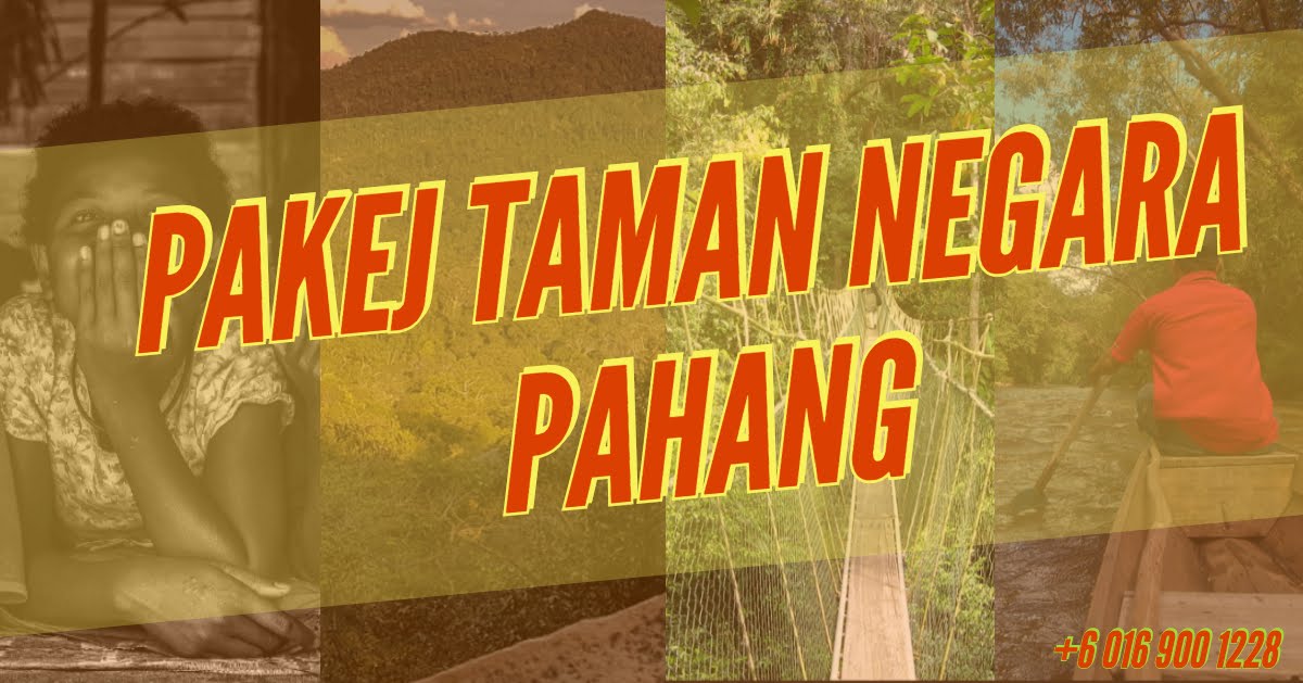 PAKEJ TAMAN NEGARA KUALA TAHAN PAHANG  2024 / 2025