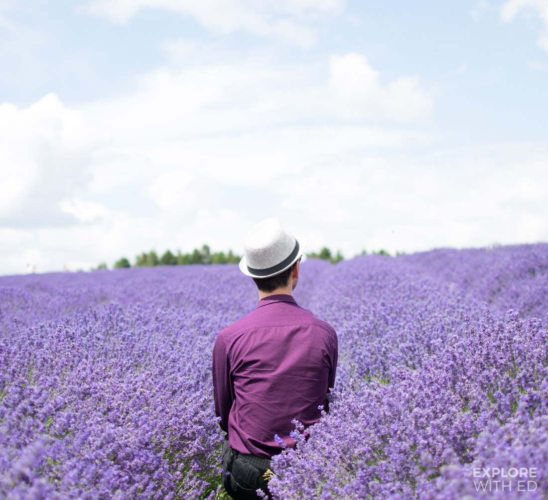 Explore With Ed in Cotswold Lavender Farm