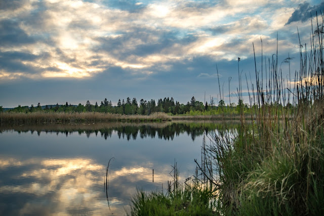 Single Frauen Allgau
