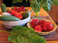 Earthly Gardener: Patio privacy screen/trellis progress