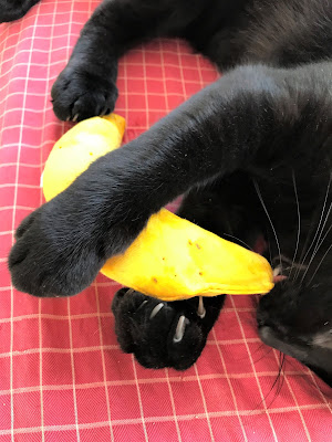 Chili Bruce went caveman on that 'nana!