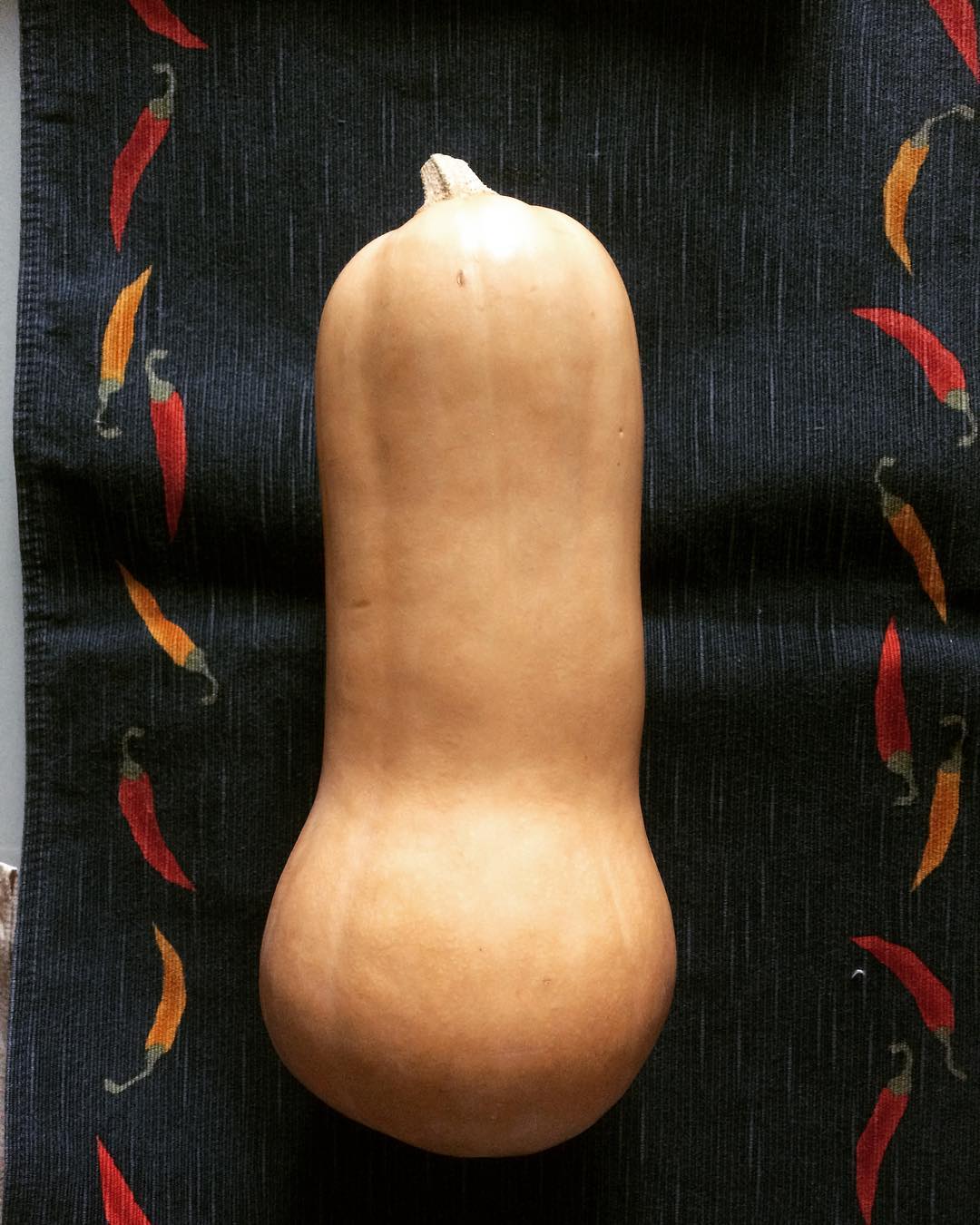 Our Adventures in Japan butternut squash