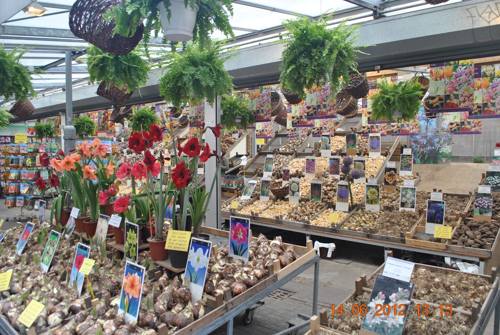 De peste tot si de nicaieri Piata de flori, Amsterdam