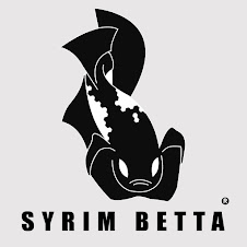 SYRIM BETTA