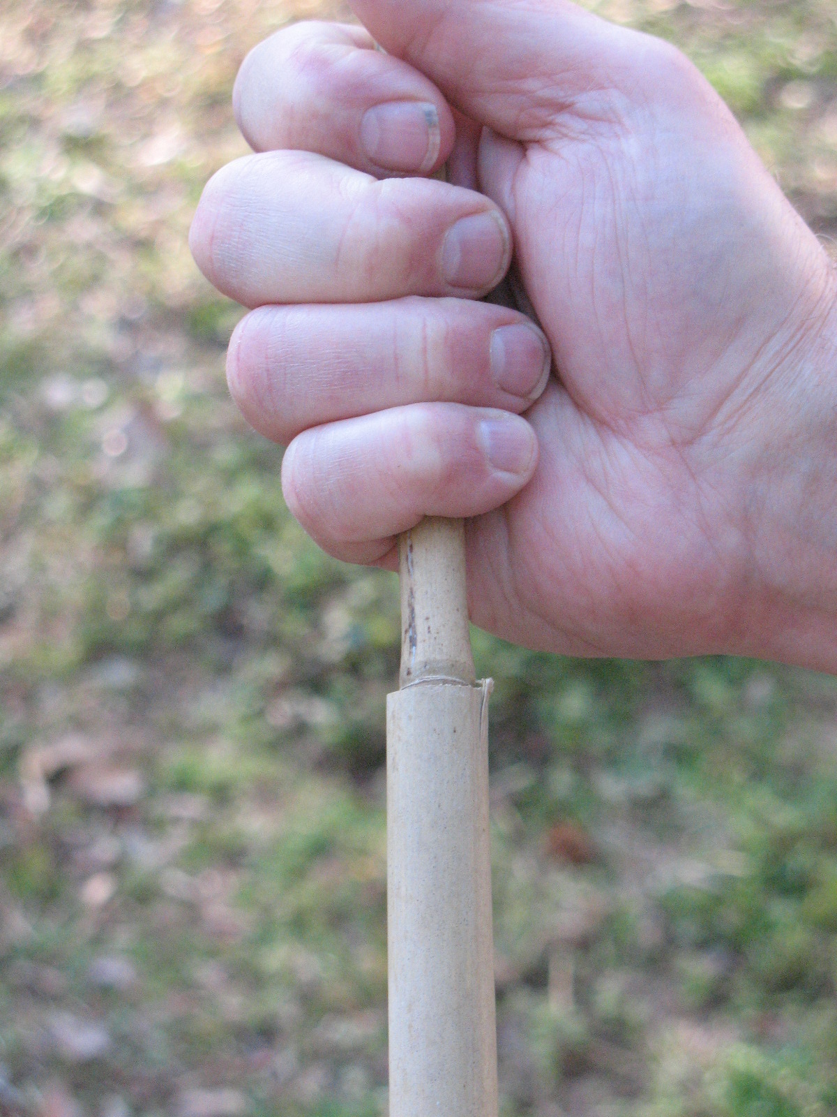 Sensible Survival My Primitive TwoPiece Cane Fishing Pole