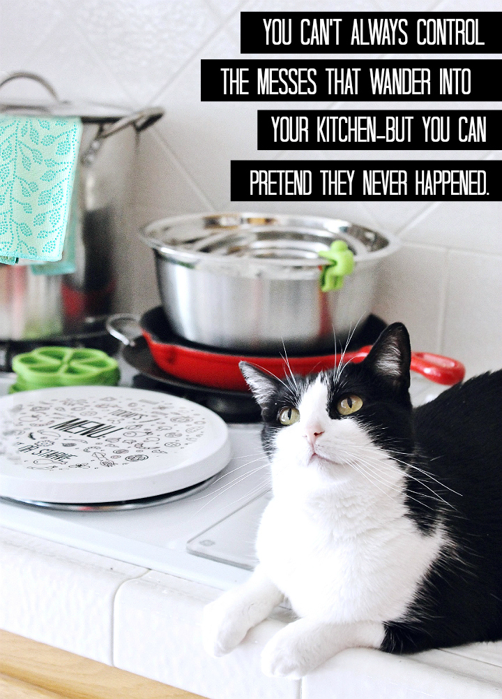 Tips to keep your kitchen and home clean with #TeamDishCloth and how to transfer photos onto hard surfaces tutorial. #MySpringClean #AD