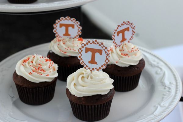 University of Tennessee Cupcakes