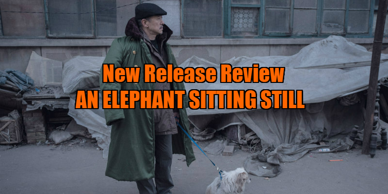 An Elephant Sitting Still review