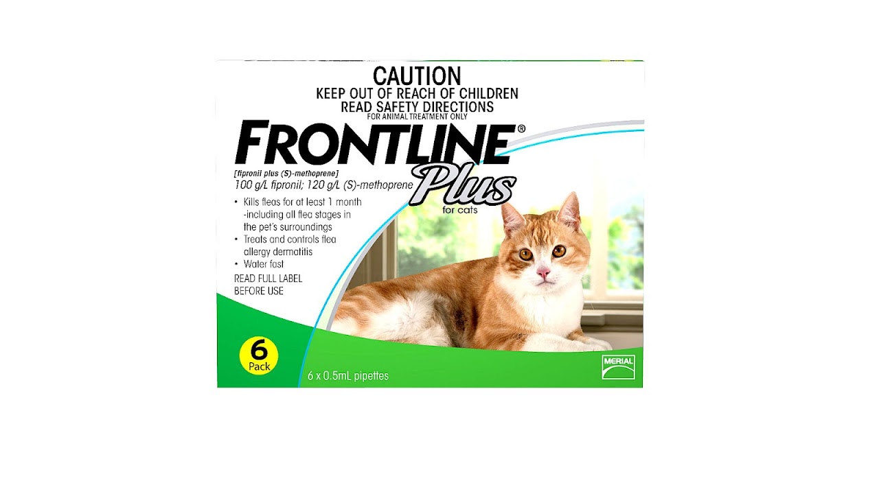 Dog Frontline Plus On Cats Photos All