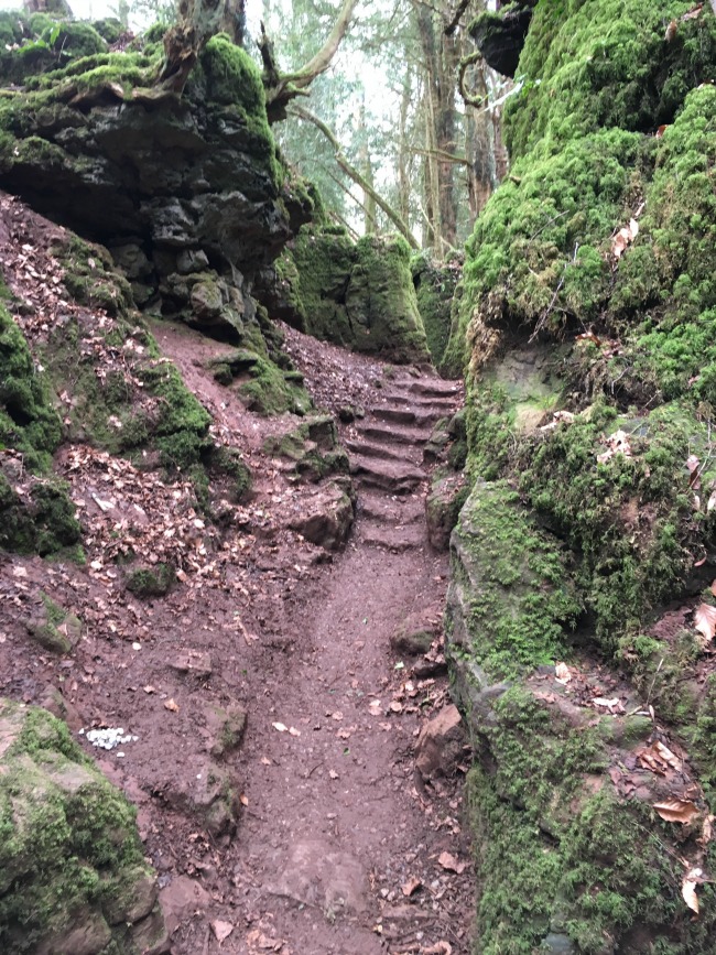mud path leading to steps with a small pile of stones in the forground