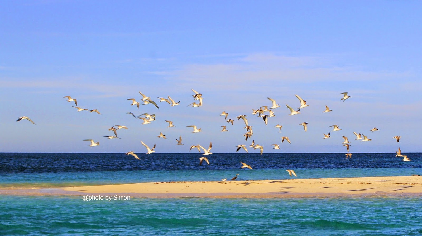 Pulau Meko atau Pasir Timbul Meko | Foto: Simon / NagiTana