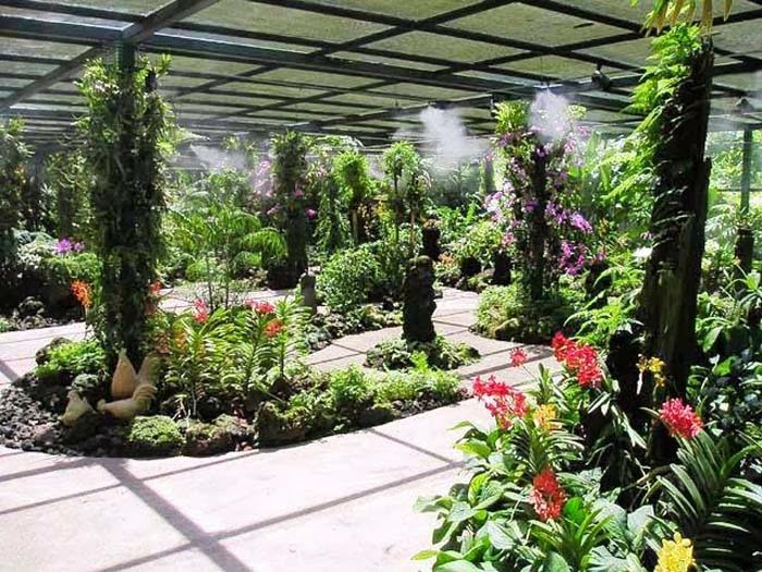 botanic-garden-di-singapura