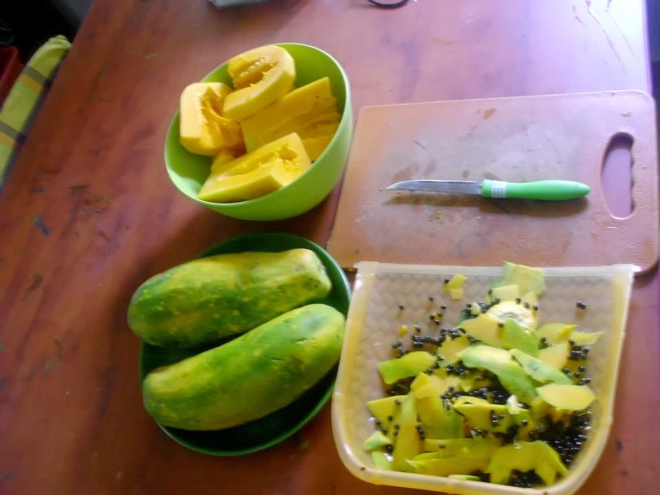 Jayanthi's Indian Recipes Papaya Jam