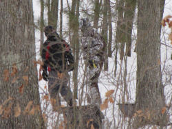 boys walking in woods