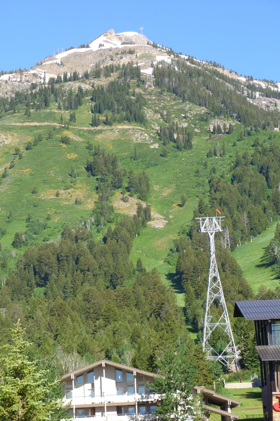 BECAUSE I STILL CAN Signal Lodge, Teton Village, Jackson,Dubois, Ft