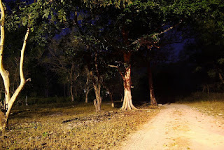 Delhi Cantt most popular haunted places in Delhi