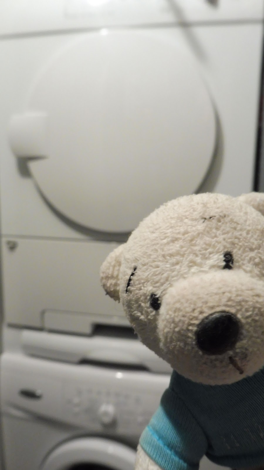 ¡VAYA LÍO, PROFE!: ¡VOY A PONER LA LAVADORA!