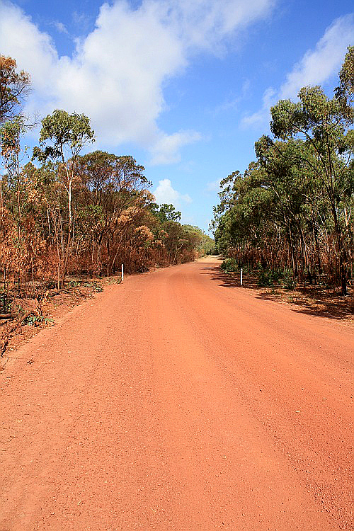 Essences of Photography Red Dirt