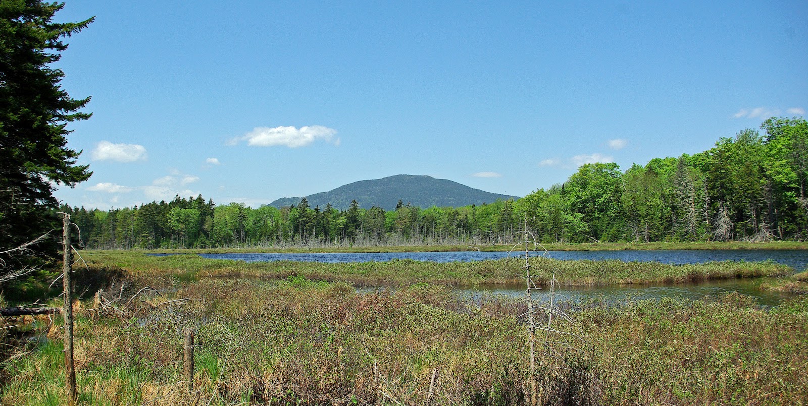 Hiking in Maine with Kelley 5/26/12 Moose Ponds