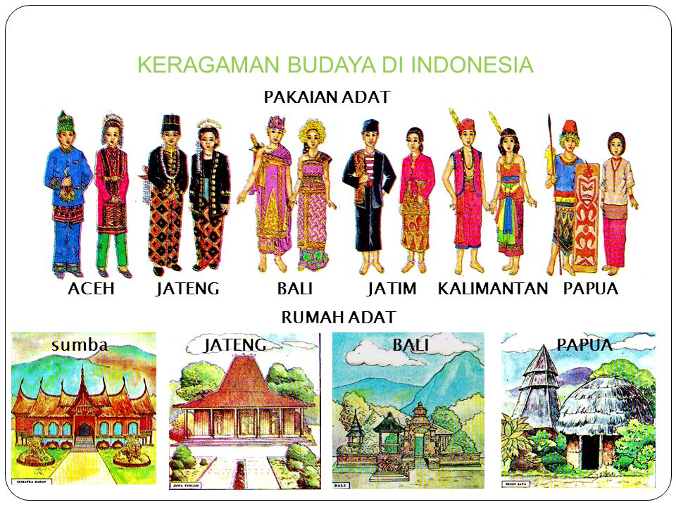 keberagaman suku bangsa dan budaya indonesia