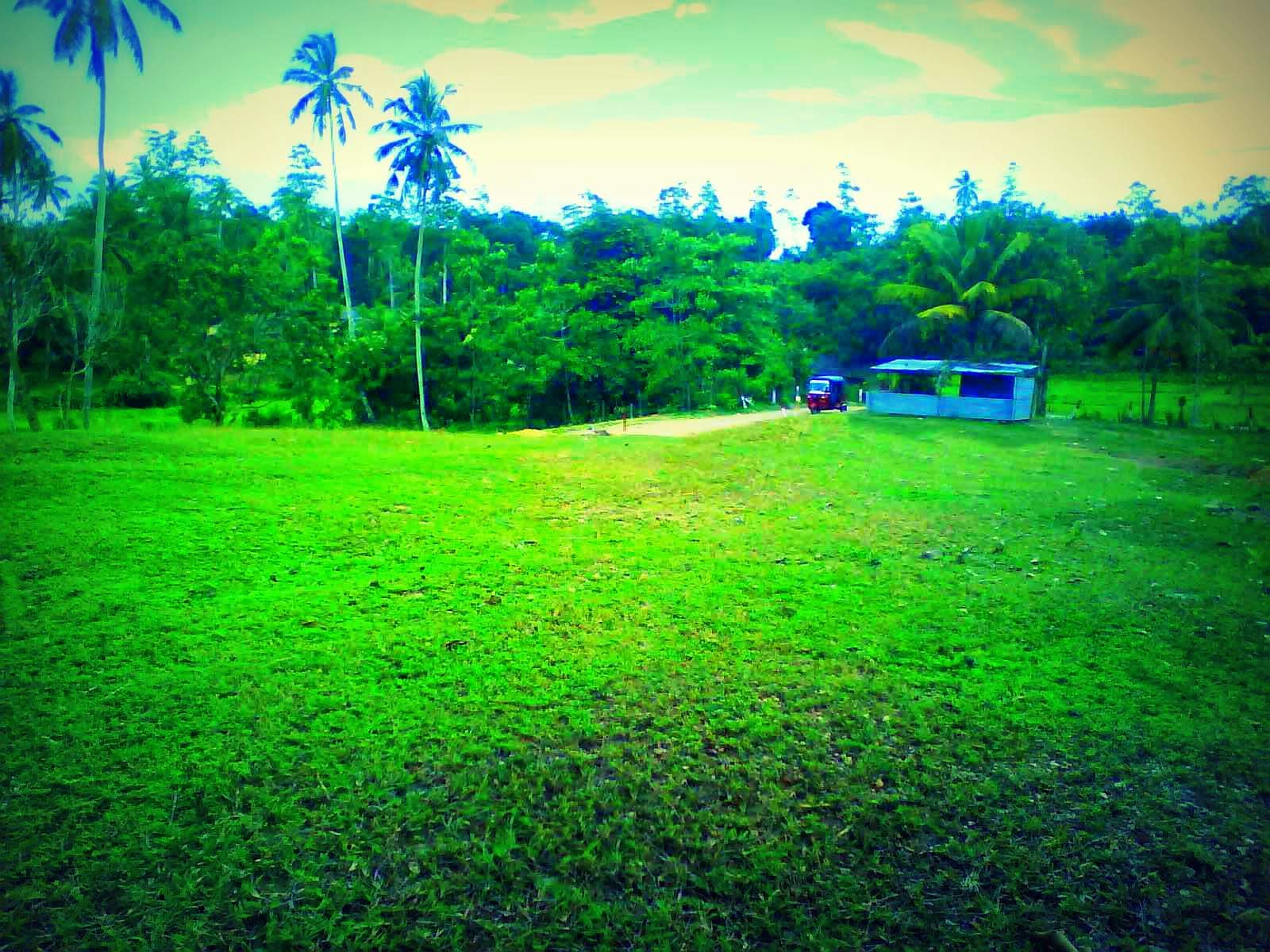 EddieJones Housing Constructions and Land Sales Sri lanka