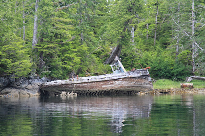 An Abandoned Boat in Barnard Harbour; Right: Eagle in Flight and Layers of Princess Royal Island
