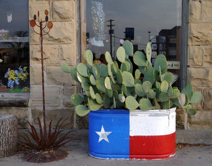 Who I Am.......... A Coffee Pot Planter