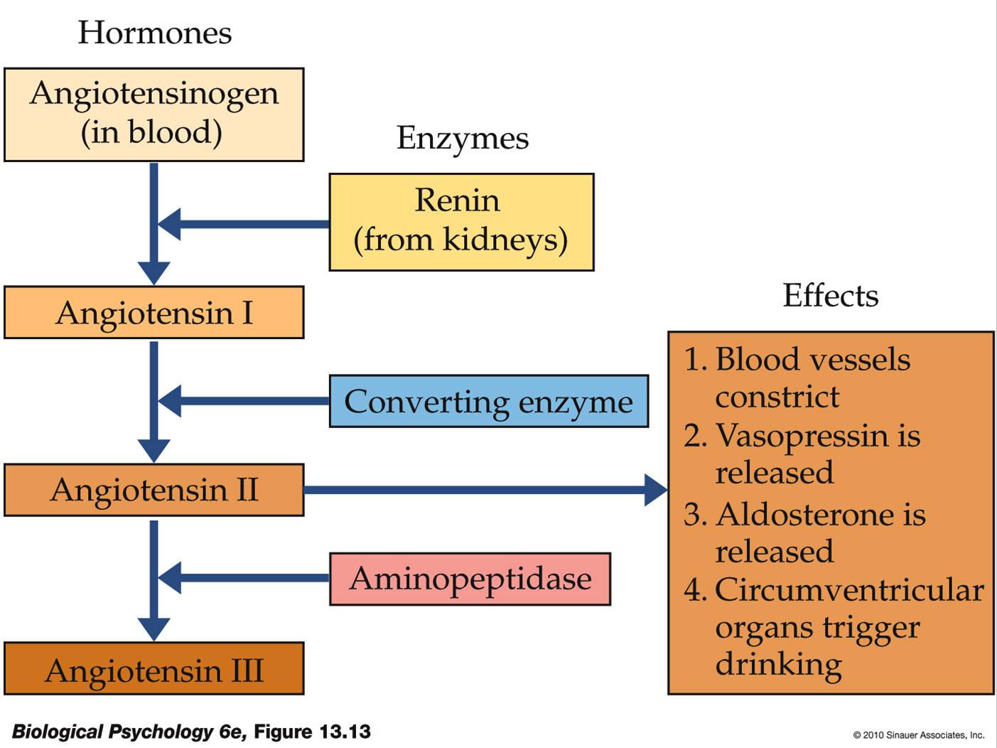 Life After Being A Student My Mission To Learn Internal Regulation