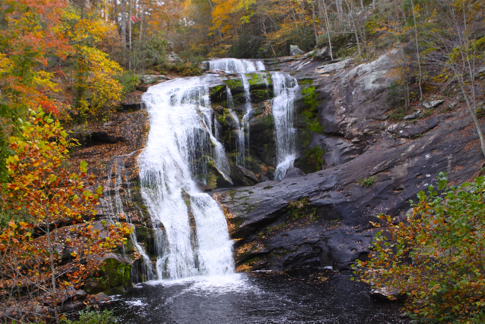 Sweet Southern Days Scenic Cherohala Skyway