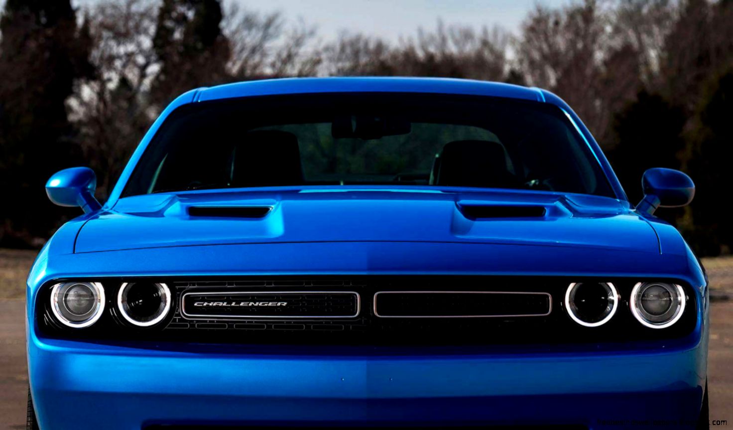 2016 Dodge Challenger   Special Edition Models