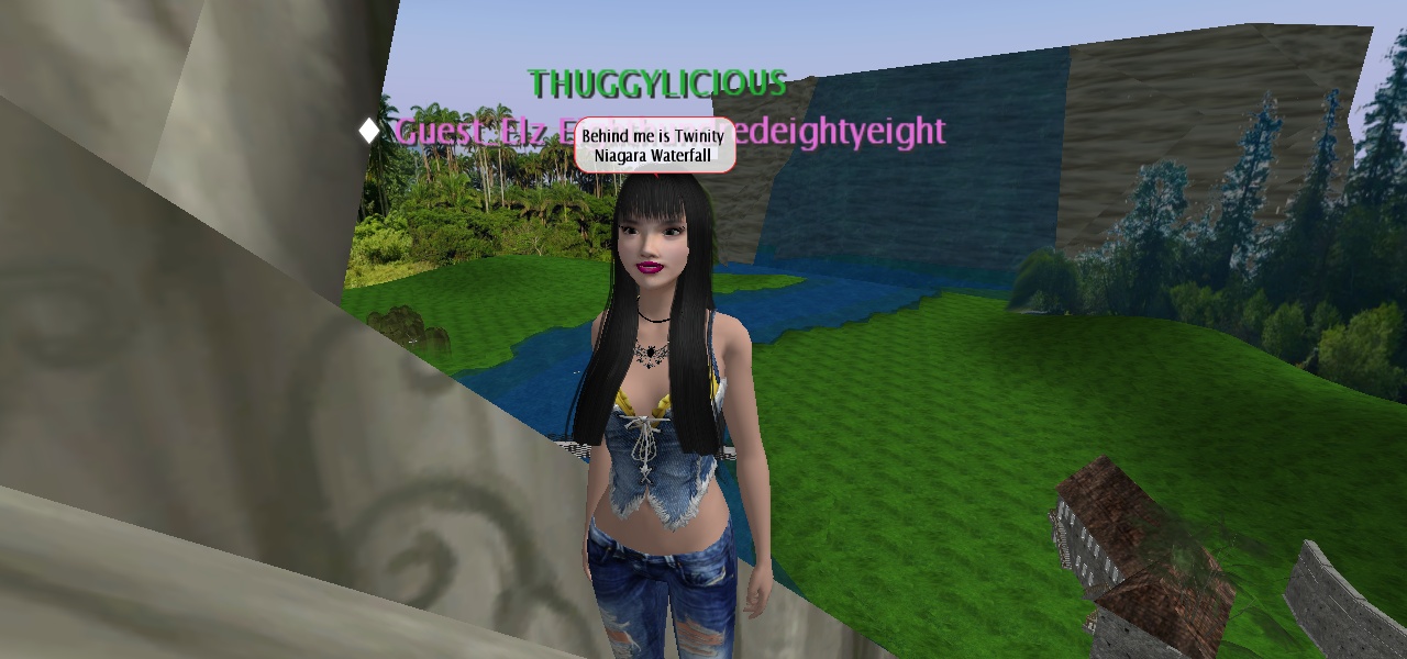 twinity 2019 twinity 2019