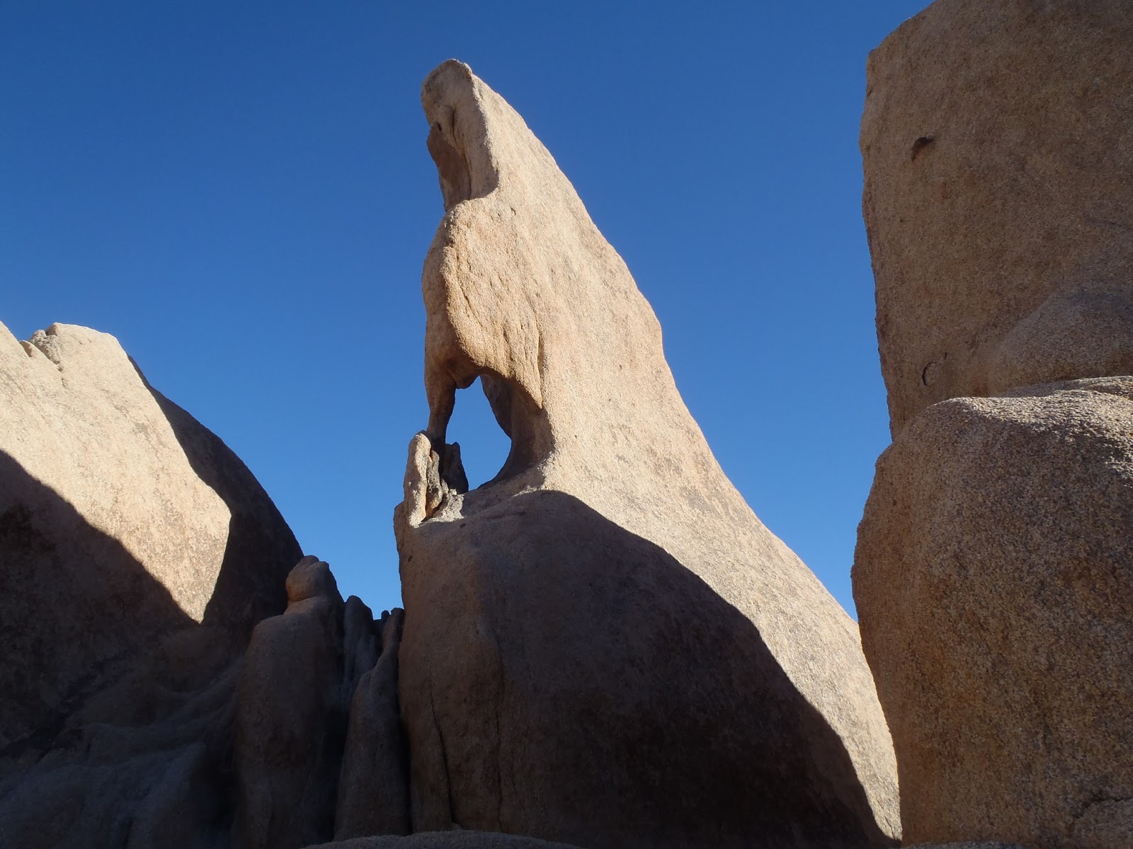 Joshua Tree National Park Things To Do Trails Of Arkansas And Now