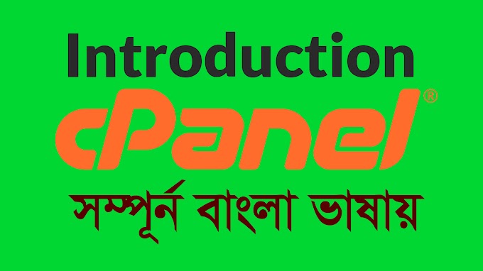 Basic Cpanel Introduction and File Upload to Live Server ( Bangla Tutori...