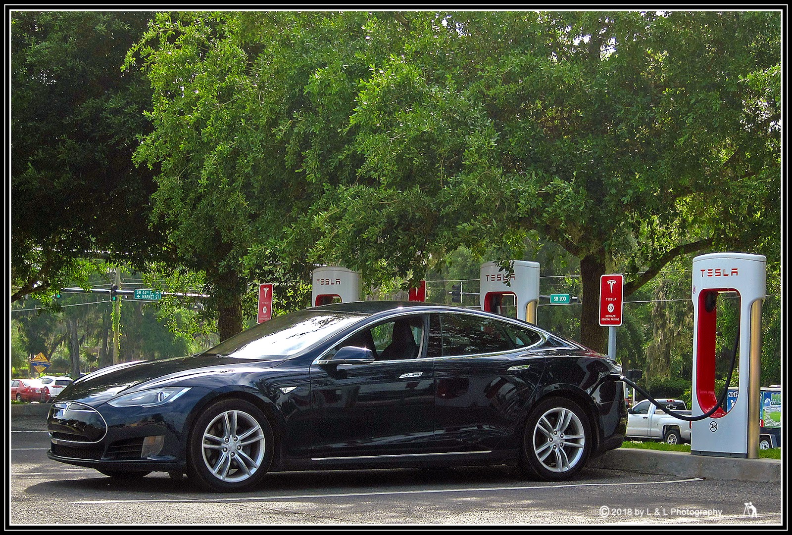 Ocala, Central Florida & Beyond