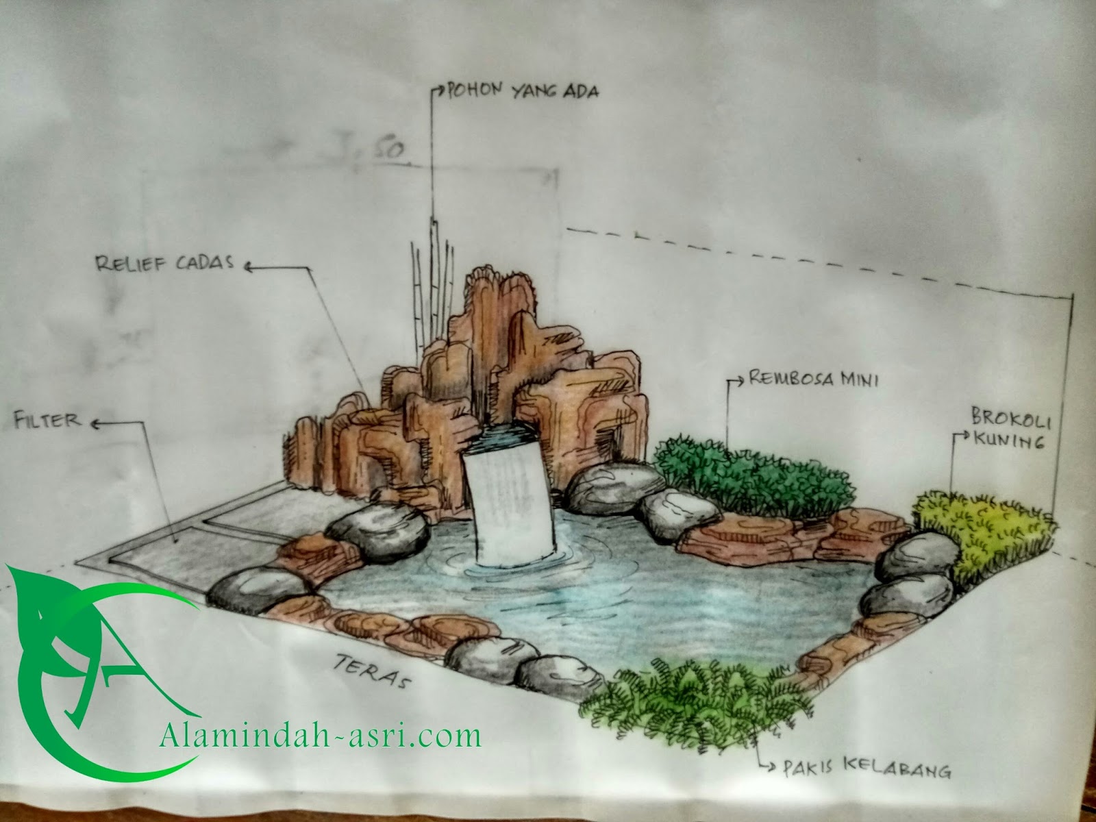 Tukang Kolam Koi Cibubur