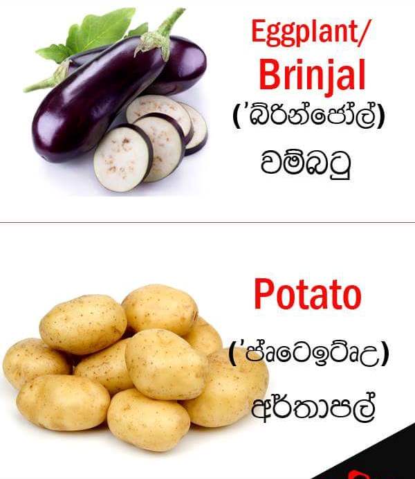 Vegetable names in English Sandy Foods Sri Lanka