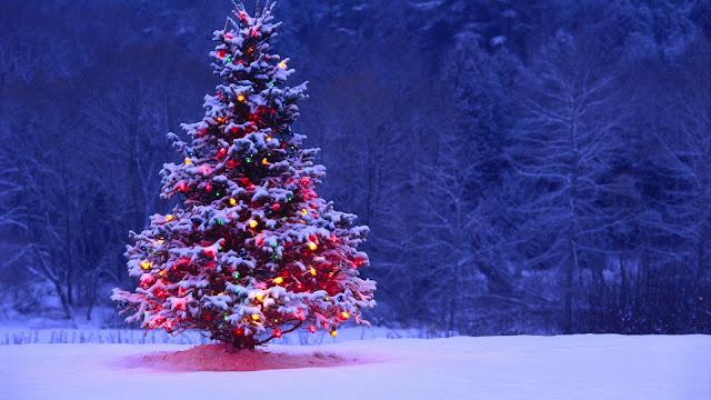 happy christmas day 2017 images happy christmas day 2017 images, happy christmas pictures free download