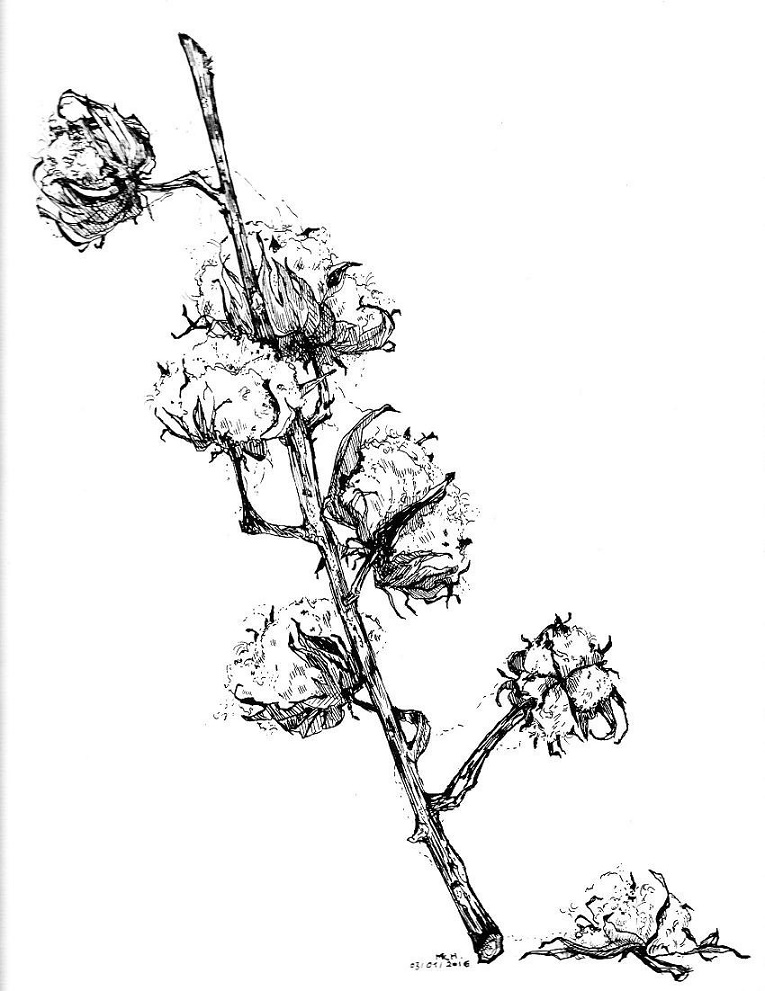 L Atelier Creacoeur Tuto Dessiner Une Fleur Plus Vite Que Son Ombre