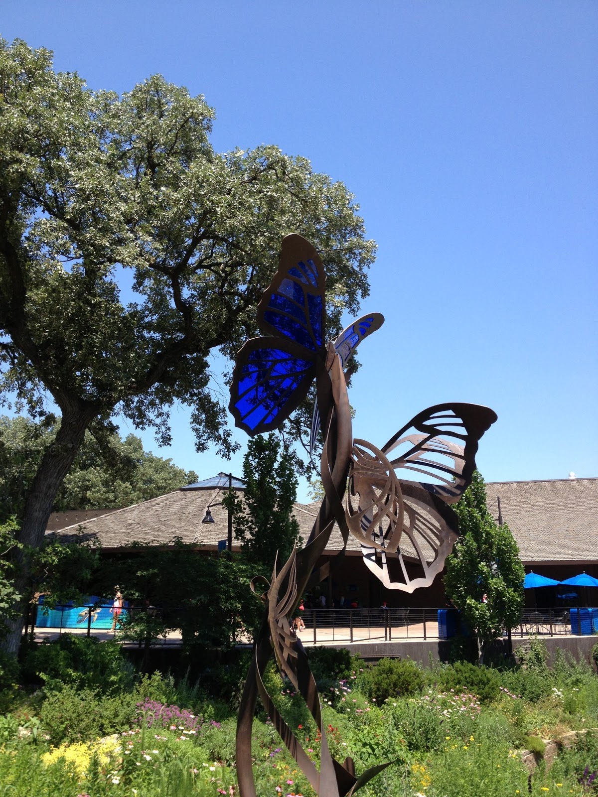 tin and sparkle BUTTERFLY PAVILION