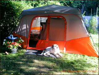 My dog Valentino camped out at the tent door.